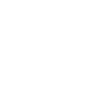 Home page di Fondazione Save the Dogs and other Animals ETS